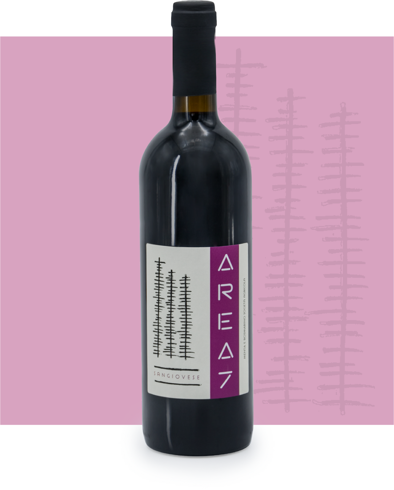 Azienda Agricola: vino bianco frizzante, SANGIOVESE 10% - CILIEGIOLO 90%