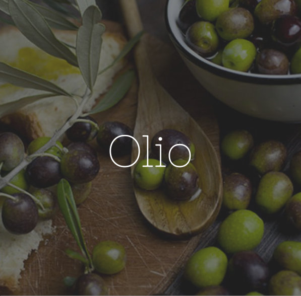 Produzione olio extravergine di oliva: in romagna